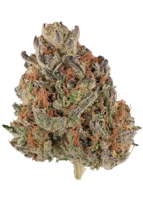 Blue Honey