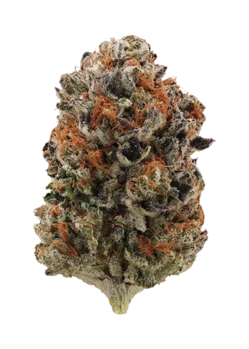 Blunana