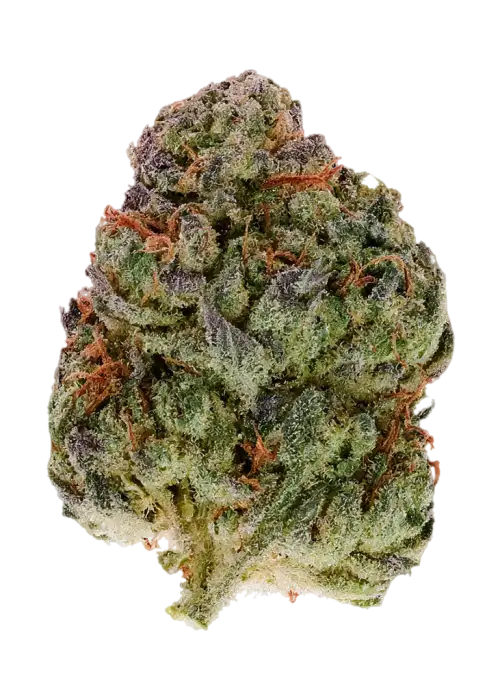 Fermented Fruitz