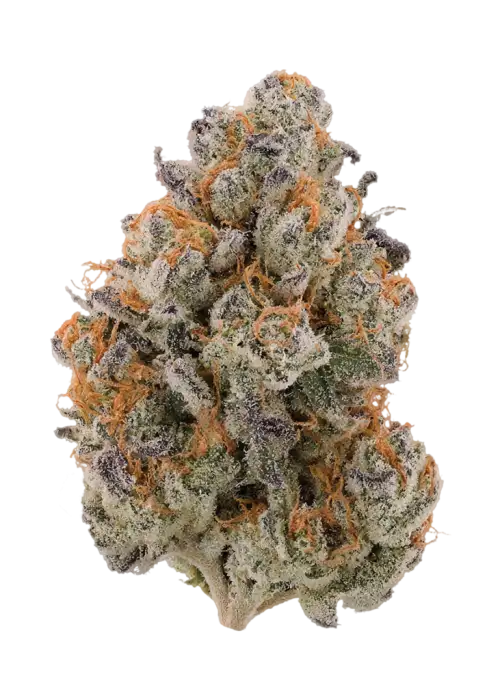 Honey Zkittlez