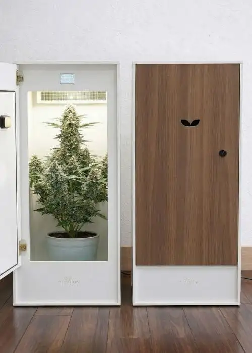 One Large