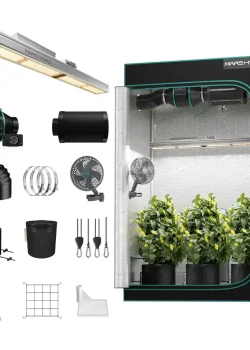 Complete Kit 2x4 SP3000 LED