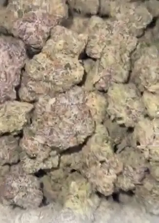 Rhino Breath