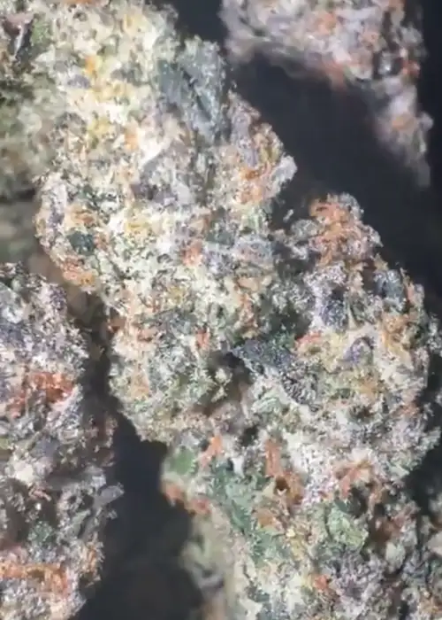 Crème De La Ube
