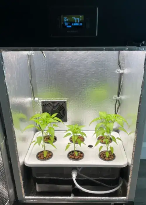 3FT LED Grow Box Hydroponic or Soil with Carbon Filter
