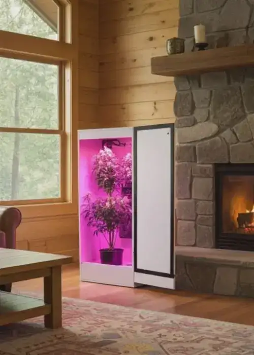 Ghost Cabinet Economy Soil Grow Box (no hydroponics)