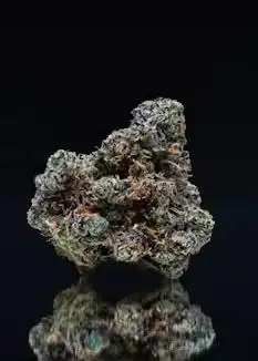 Sour Runtz