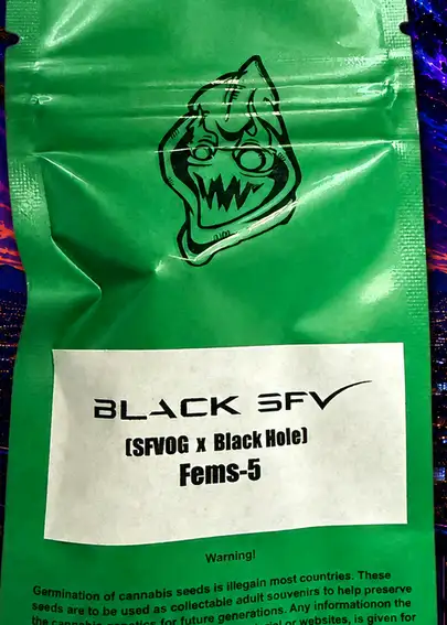 Black SFV