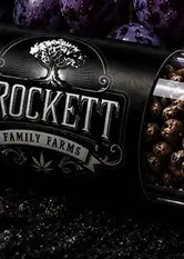 Gravity Grapes Regular