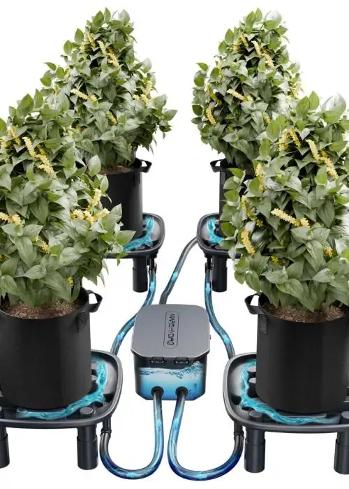 Auto-Drainage System (4-Pack Runoff Trays)