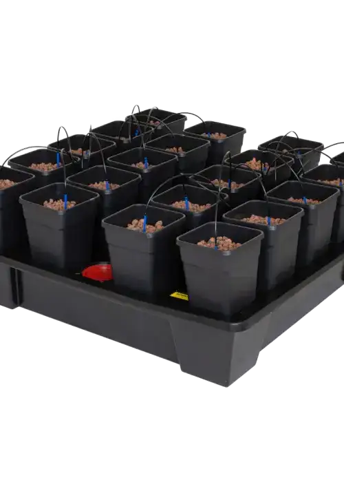 Wilma XXL 20 Complete 6.5 L