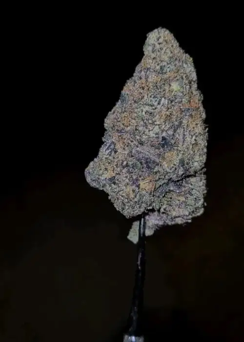 That’s Krazy
