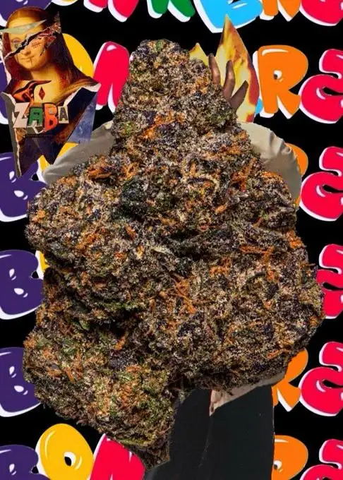 Bonkerz