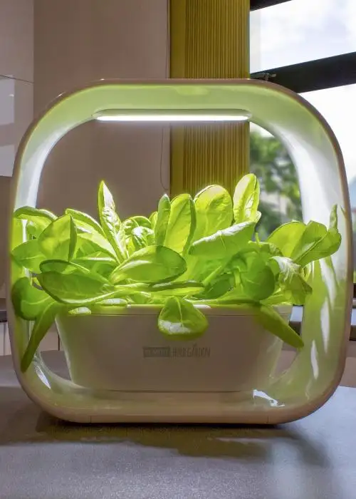 Plant!t Herb Garden