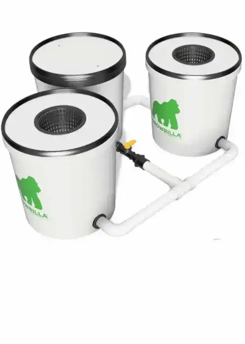 RDWC 2 Pots