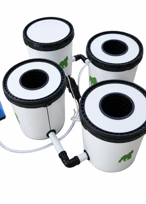 Hydroponics System RDWC 3 Pots