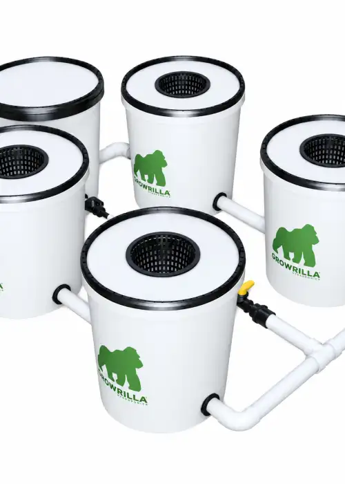 Hydroponics System RDWC 4 Pots