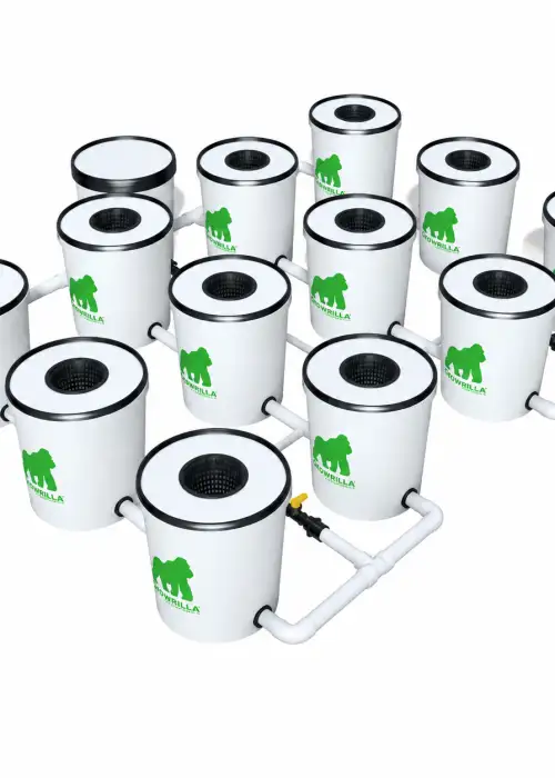 Hydroponics System RDWC 12 Pots
