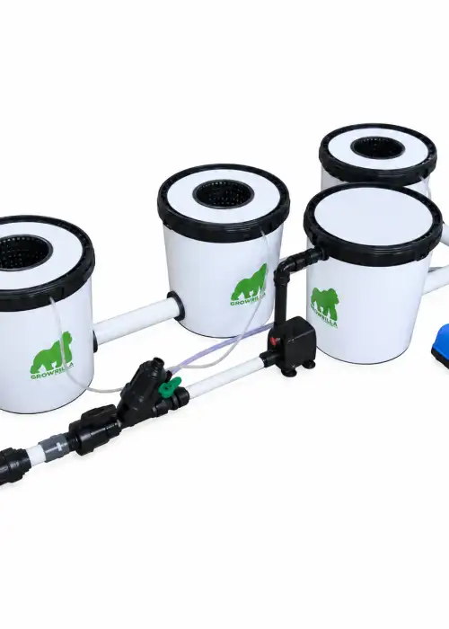 Hydroponics System RDWC Pro 3 Pots