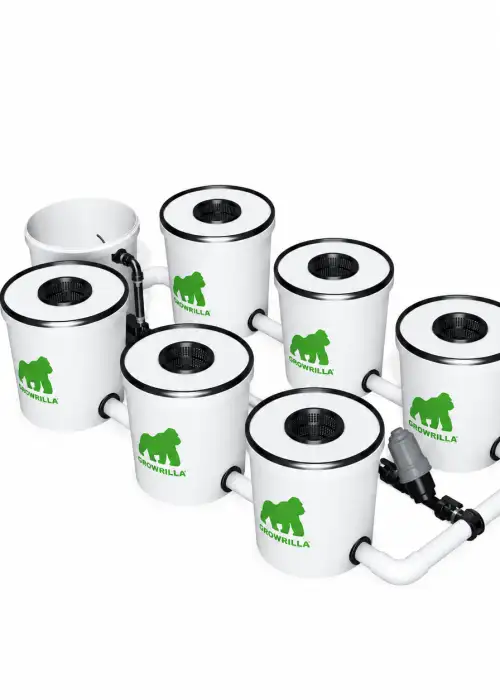 Hydroponics System RDWC Pro 6 Pots