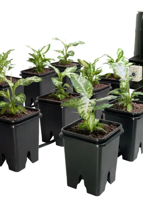 Active Aqua Grow Flow 5 gal System w/Controller Unit & 3/4