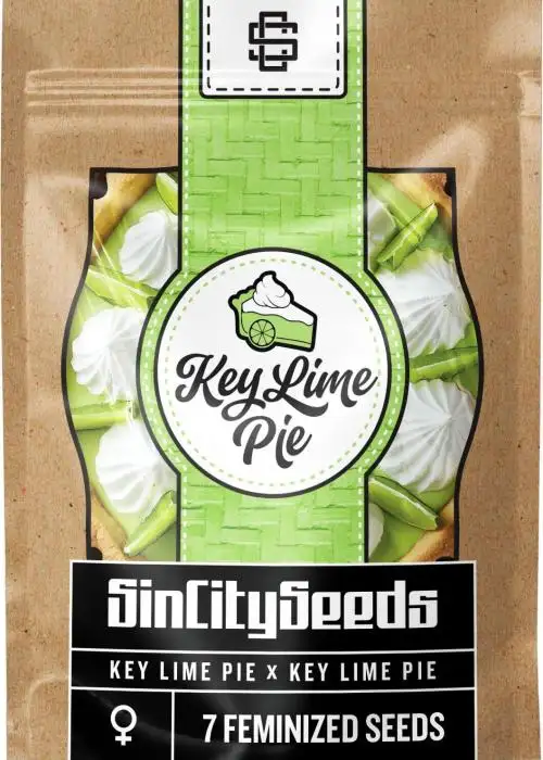 Key Lime Pie S1