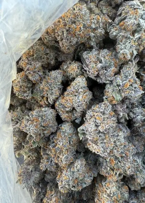 Guala Pie