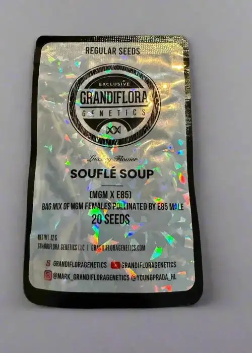 Souflé Soup Regular
