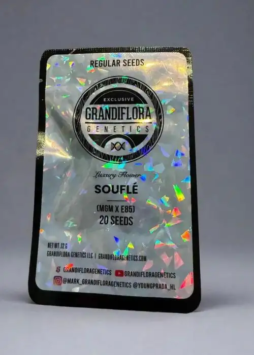 Souflé Regular
