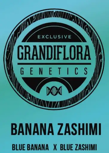 Banana Zashimi