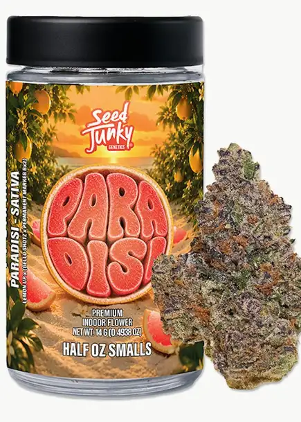 Paradisi