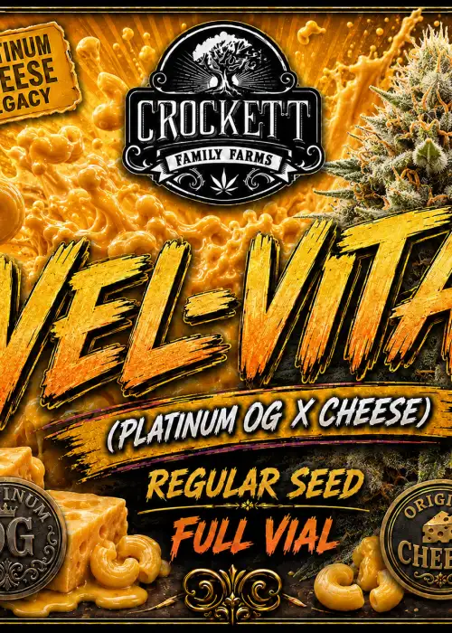 Vel-Vita Regular