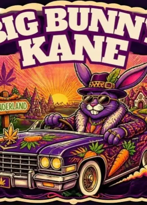 Big Bunny Kane S1 Auto