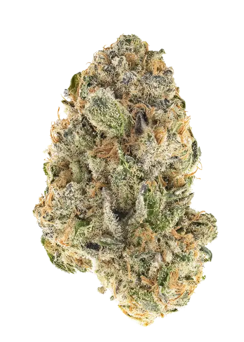 Garlic Lime