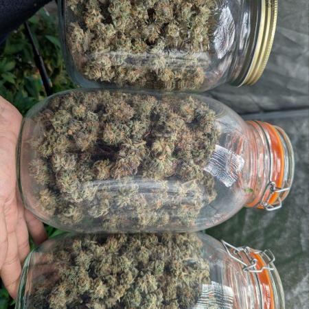 1Pound challenge Slipstream compound gen