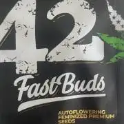 Micro Growing : LSD-25 Auto