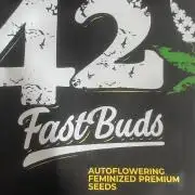 Micro Growing : Bruce Banner Auto