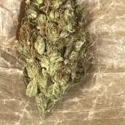 Micro Growing : Grapefruit Auto