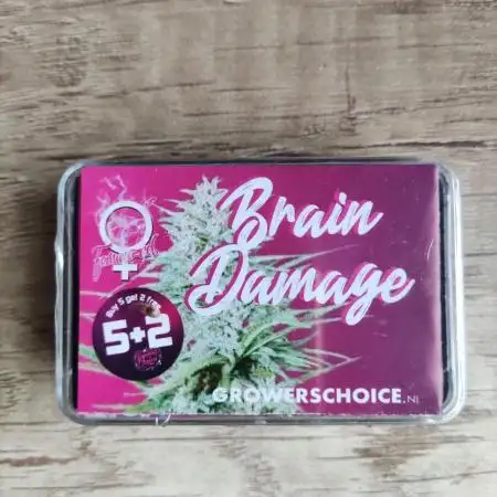 Brain Damage