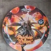 Peaches & Cream