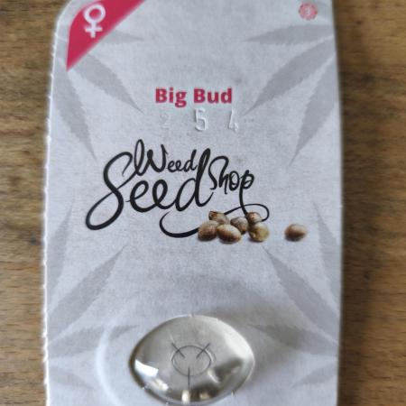Big Bud
