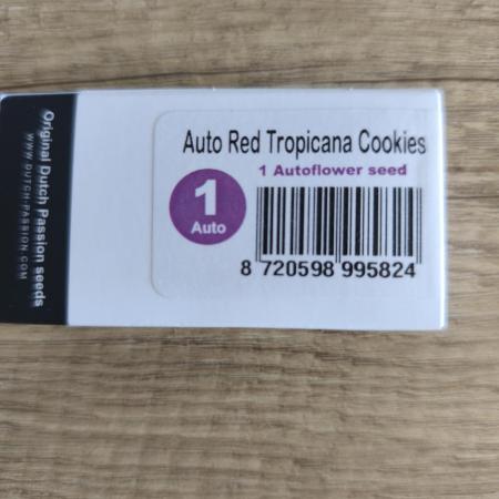 Auto Red Tropicana Cookies