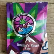 Neville's Rose Auto