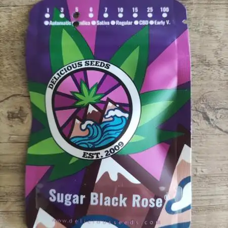Sugar Black Rose