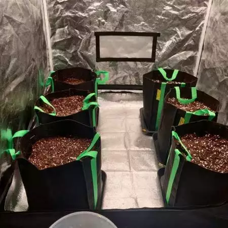 Snow Queen Auto - Alien EasyFeed System