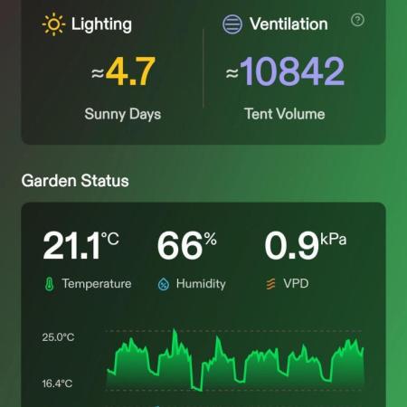 London Poud Cake Hidro #1
