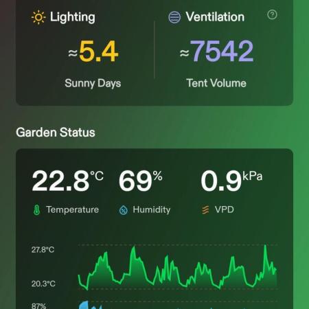 London Poud Cake Hidro #1