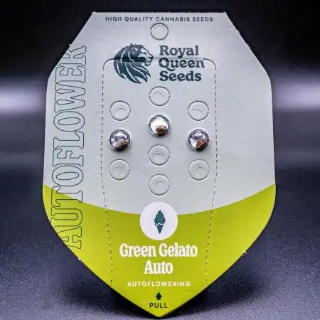 Green Gelato (Auto) // RQS