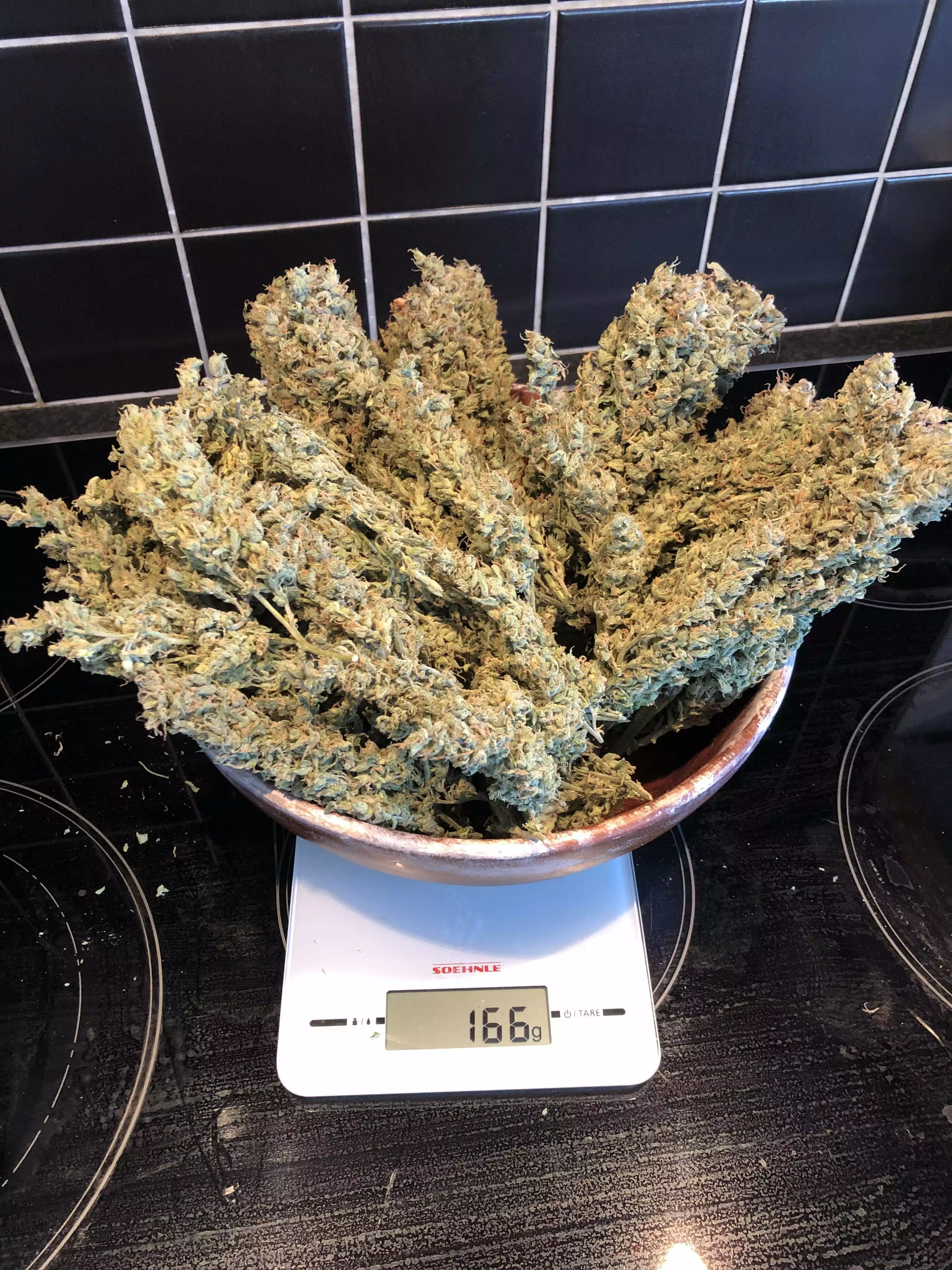 Q4W gen2 by SANlight grow lamp. Lighting information- Gro