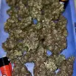 Amnesia Dream